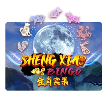 Sheng Xiao Bingo - XTRAPLAY88