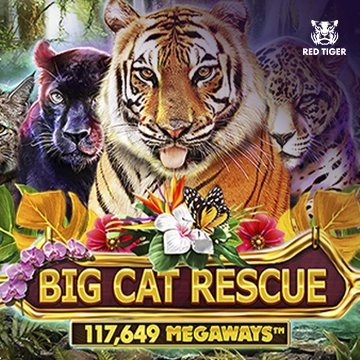 Big Cat Rescue Megaways - XTRAPLAY88