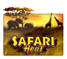 Safari Heat - XTRAPLAY88