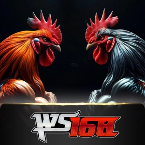 Ws168 Sabung - XTRAPLAY88