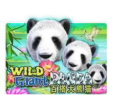 Wild Giant Panda - XTRAPLAY88
