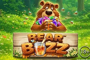 Playtech : Bear Buzz - XTRAPLAY88