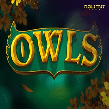 Owls - XTRAPLAY88