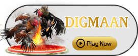 Digman - XTRAPLAY88